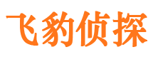 浮梁寻人公司